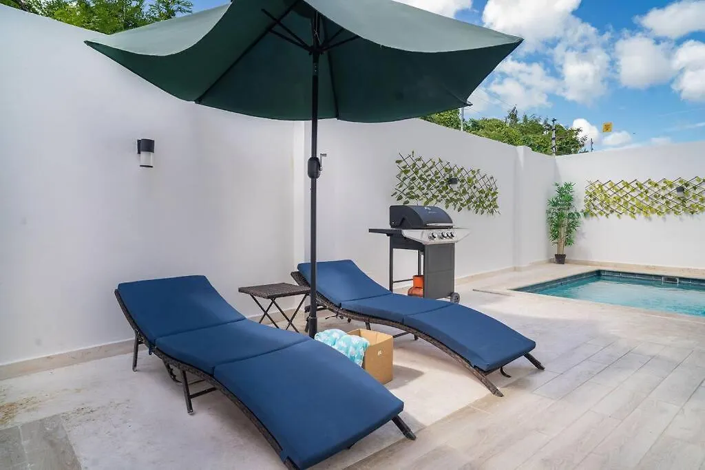 Luxury Villa In The Center Of Punta Cana